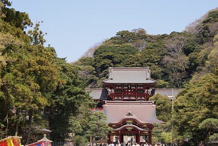 鶴岡八幡宮